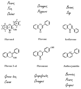 flavonoidsinfoodtypes