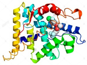 il-recettore-di-androgeni-modello-molecolare-c5hpx6