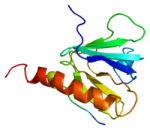 250px-Protein_IRS1_PDB_1irs